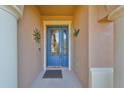 Inviting entryway with a blue door and decorative accents at 13230 Fawn Lily Dr, Riverview, FL 33579