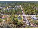 Aerial view of the house and surrounding neighborhood, showcasing its peaceful setting at 14616 Mocking Wren, Weeki Wachee, FL 34614