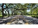 Scenic community road shaded by mature trees, creating a tranquil and inviting atmosphere at 6922 Hawthorne Trace Ln, Riverview, FL 33578