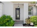 Modern front door with glass panels and stylish landscaping at 7008 Captiva Cir, New Port Richey, FL 34655