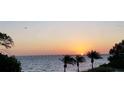 Experience stunning sunset views over the bay, highlighted by swaying palms and serene waters at 2617 Cove Cay Dr # 505, Clearwater, FL 33760