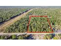 Large wooded lot for sale with road frontage at 15577 Little Ranch Rd, Spring Hill, FL 34610