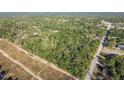 Aerial view of a wooded lot near a road at 15577 Little Ranch Rd, Spring Hill, FL 34610