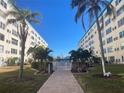 Neat landscaping leading to the community pool at 2960 59Th S St # 411, Gulfport, FL 33707