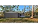 Exterior rear view of the home features a small patio area and an expansive grassy yard at 6906 Quail Hollow Blvd, Wesley Chapel, FL 33544