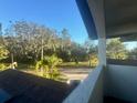 View from a balcony overlooking a wooded area at 4015 Woodacre Ln, Tampa, FL 33624