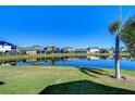 Waterfront property with lush green landscaping and homes at 11807 Cross Vine Dr, Riverview, FL 33579