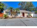 Tan house with red door, palm trees, and a driveway at 3223 Sandspur Dr, Tampa, FL 33618