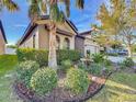 Landscaped front yard with palm trees and shrubs at 11409 Drifting Leaf Dr, Riverview, FL 33579