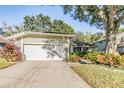Front view of house with driveway and landscaping at 14631 Village Glen Cir, Tampa, FL 33618