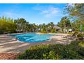 Community pool with lounge chairs and a shaded seating area at 10334 Estero Bay Ln, Tampa, FL 33625
