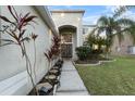Front entrance with a walkway, landscaping, and palm trees at 18127 Sandy Pointe Dr, Tampa, FL 33647
