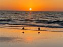 Stunning sunset over the ocean with birds on the beach at 1540 Gulf Blvd # 2107, Clearwater Beach, FL 33767