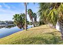 Backyard oasis with lush grass, palm trees, and tranquil waterfront views at 155 Nina Way, Oldsmar, FL 34677