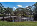 Serene pond with a wooden footbridge and fountain at 2451 Canadian Way # 47, Clearwater, FL 33763