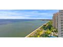 Breathtaking waterfront view with a road and lush trees at 4015 Bayshore Blvd # 16A, Tampa, FL 33611