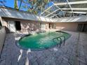 Oval pool with a screened enclosure and paver deck at 12308 N 52Nd St, Temple Terrace, FL 33617