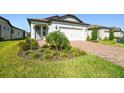 House exterior showcasing a well-manicured lawn and paver driveway at 6098 Shorebird Br, Land O Lakes, FL 34638