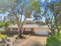 Ranch-style home nestled amongst lush greenery, featuring a spacious driveway at 4780 Butterfly Ne Pl, St Petersburg, FL 33703