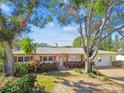 Ranch style home with mature landscaping and a large yard at 4780 Butterfly Ne Pl, St Petersburg, FL 33703