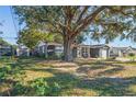 House exterior showcasing a gray painted home with mature landscaping and a large tree at 1626 Roundtree Rd, Holiday, FL 34690