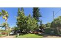 Well-maintained front yard featuring mature trees and landscaping, enhancing the curb appeal of this beautiful home at 505 80Th Ave, St Pete Beach, FL 33706