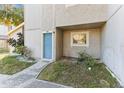 Condo entrance with blue door, landscaping, and walkway at 6336 Newtown Cir # 36A1, Tampa, FL 33615