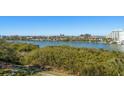 Scenic waterway view with lush mangrove landscape at 11730 Shipwatch Dr # 503, Largo, FL 33774