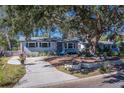 Cute ranch home with a tree-shaded front yard, driveway, and walkway at 1638 St Catherine W Dr, Dunedin, FL 34698