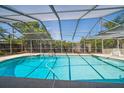 Large screened in pool with clear blue water and surrounding trees at 1388 S Hercules Ave, Clearwater, FL 33764