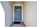 Modern blue front door with a glass panel and a brick pathway at 31371 Cabana Rye Ave, San Antonio, FL 33576