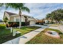 Attractive neighborhood street scene featuring well-kept lawns and varied home styles at 5627 War Admiral Dr, Wesley Chapel, FL 33544