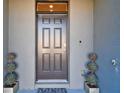 Modern front entrance with dark brown door and decorative planters at 1579 Hubbell Rd, Wesley Chapel, FL 33543