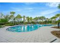 Community pool with palm trees and plenty of space to relax at 11926 Cinnamon Fern Dr, Riverview, FL 33579