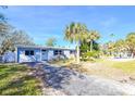 Ranch style home with a spacious yard and palm trees at 4234 Harrisburg Ne St, St Petersburg, FL 33703