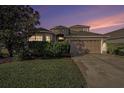 Beautiful home exterior with manicured landscaping and a spacious driveway at 4205 Morning Breeze Ct, Tampa, FL 33619