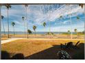 Stunning view of the water from the property, featuring palm trees and a park-like setting at 55 Edgewater Dr, Dunedin, FL 34698