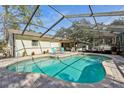 Inviting kidney-shaped pool with a screened enclosure and patio at 6103 E 112Th Ave, Temple Terrace, FL 33617