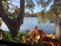Peaceful lake view from condo with lush green trees and tranquil water at 3480 Hillmoor Dr, Palm Harbor, FL 34685