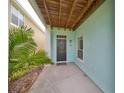 Covered entryway with a dark-colored door and light teal walls at 4005 Foxtail Palm Ct, Tampa, FL 33624