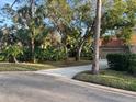 Condo exterior view with driveway and surrounding trees at 10 Woodridge Cir, Oldsmar, FL 34677