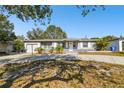 Gray house with white trim and palm trees in the front at 5239 22Nd N Ave, St Petersburg, FL 33710