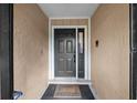 Inviting entryway with a dark gray door and a decorative welcome mat at 16811 Rolling Rock Dr, Tampa, FL 33618