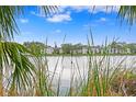 Peaceful lake view from the backyard at 3192 Nautical S Pl, St Petersburg, FL 33712