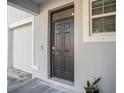Black front door with sidelights and a white frame at 3345 Pleasant Willow Ct, Brandon, FL 33511