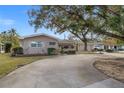 Charming single-story home with well-maintained lawn and mature tree with a long driveway at 289 Rafael Ne Blvd, St Petersburg, FL 33704