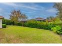 Expansive backyard featuring lush green grass and mature landscaping, perfect for outdoor activities and relaxation at 5212 Candler View Dr, Lithia, FL 33547