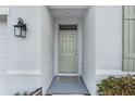 Inviting front entrance with light green door, lantern-style light fixture, and modern welcome mat at 33510 Elm Hill Branch, Wesley Chapel, FL 33545