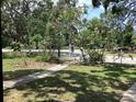 Lush front yard with mature trees and landscaping at 1529 Paloma Ln, Dunedin, FL 34698