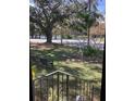 Peaceful view of the street and lake from the front door, framed by lush greenery and mature trees at 1529 Paloma Ln, Dunedin, FL 34698